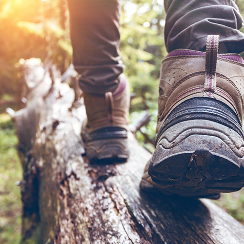 Close up of person walking on wooden log